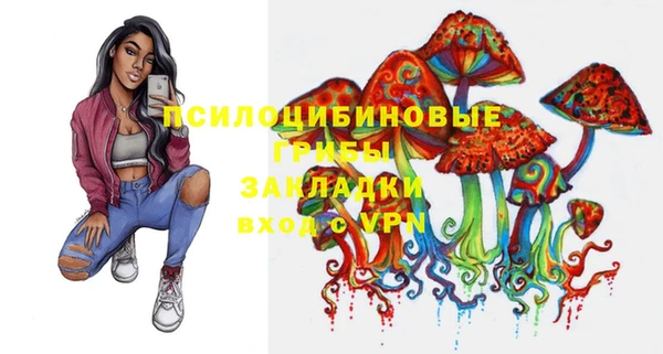 ПСИЛОЦИБИНОВЫЕ ГРИБЫ Балабаново