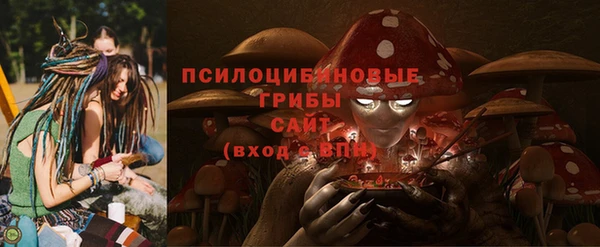 ПСИЛОЦИБИНОВЫЕ ГРИБЫ Балабаново