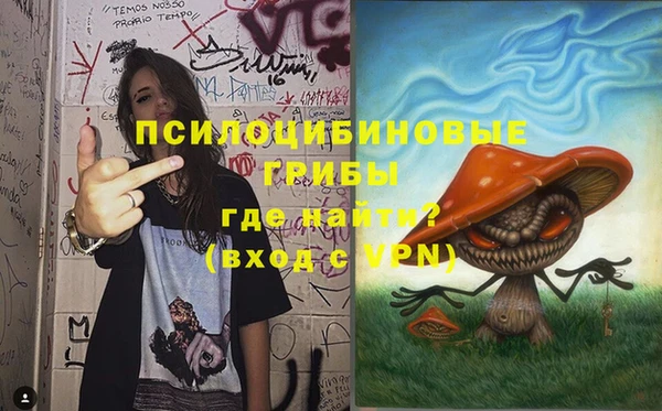ПСИЛОЦИБИНОВЫЕ ГРИБЫ Балабаново