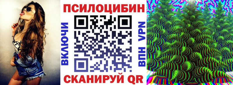 Галлюциногенные грибы Psilocybine cubensis  MEGA сайт  Голицыно 