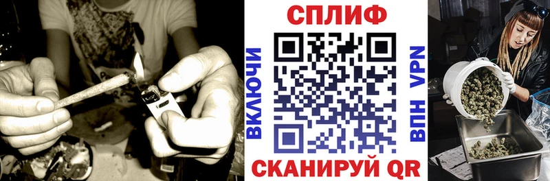 Конопля Amnesia  Голицыно 